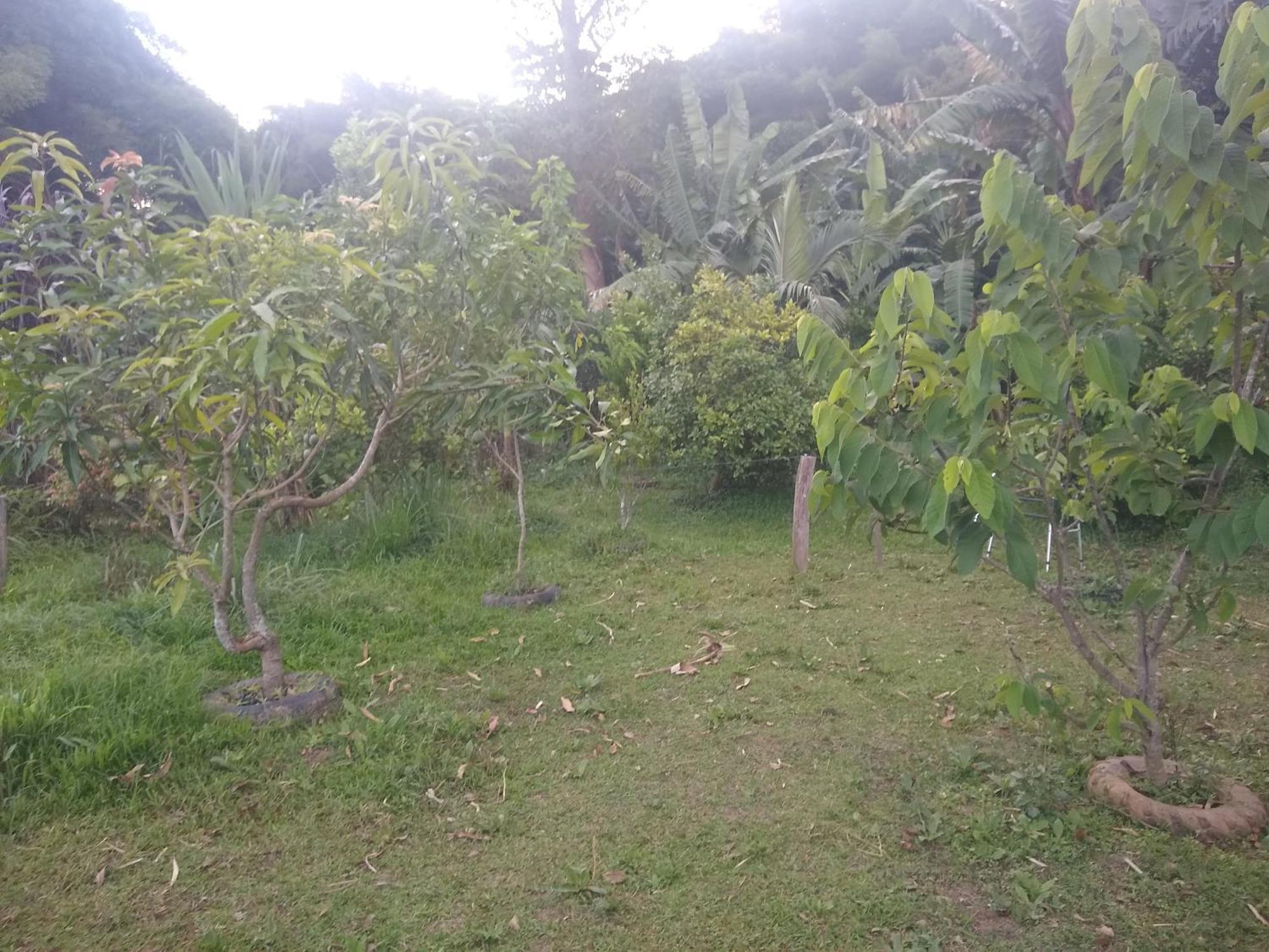Appartamento Chacara Perola Mantiqueira Gonçalves Esterno foto