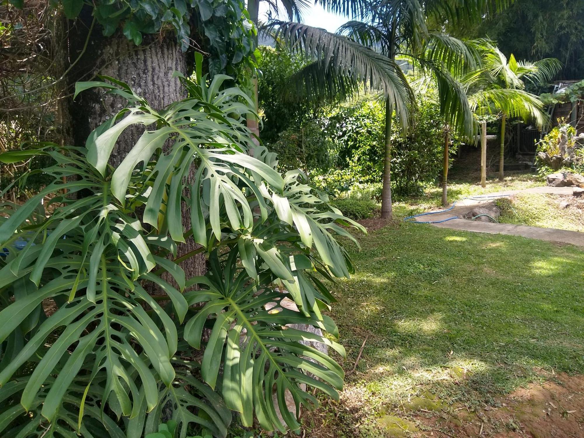 Appartamento Chacara Perola Mantiqueira Gonçalves Esterno foto