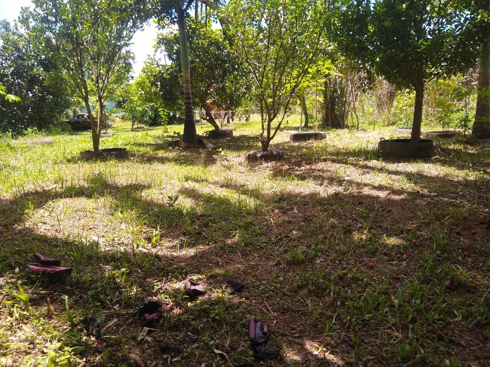 Appartamento Chacara Perola Mantiqueira Gonçalves Esterno foto
