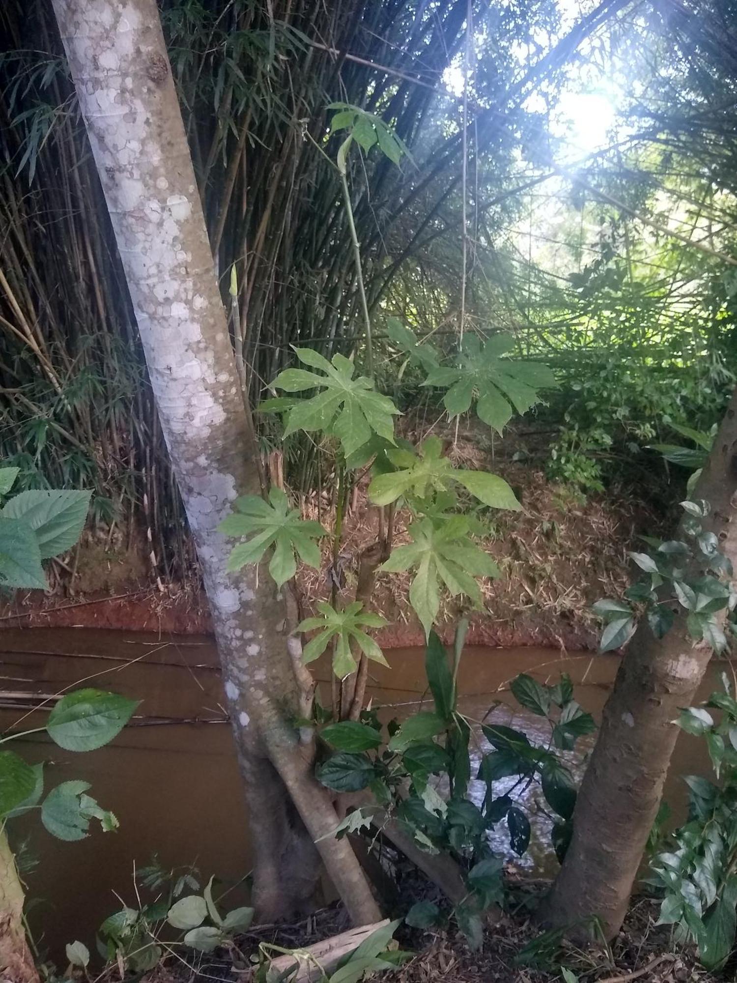 Appartamento Chacara Perola Mantiqueira Gonçalves Esterno foto