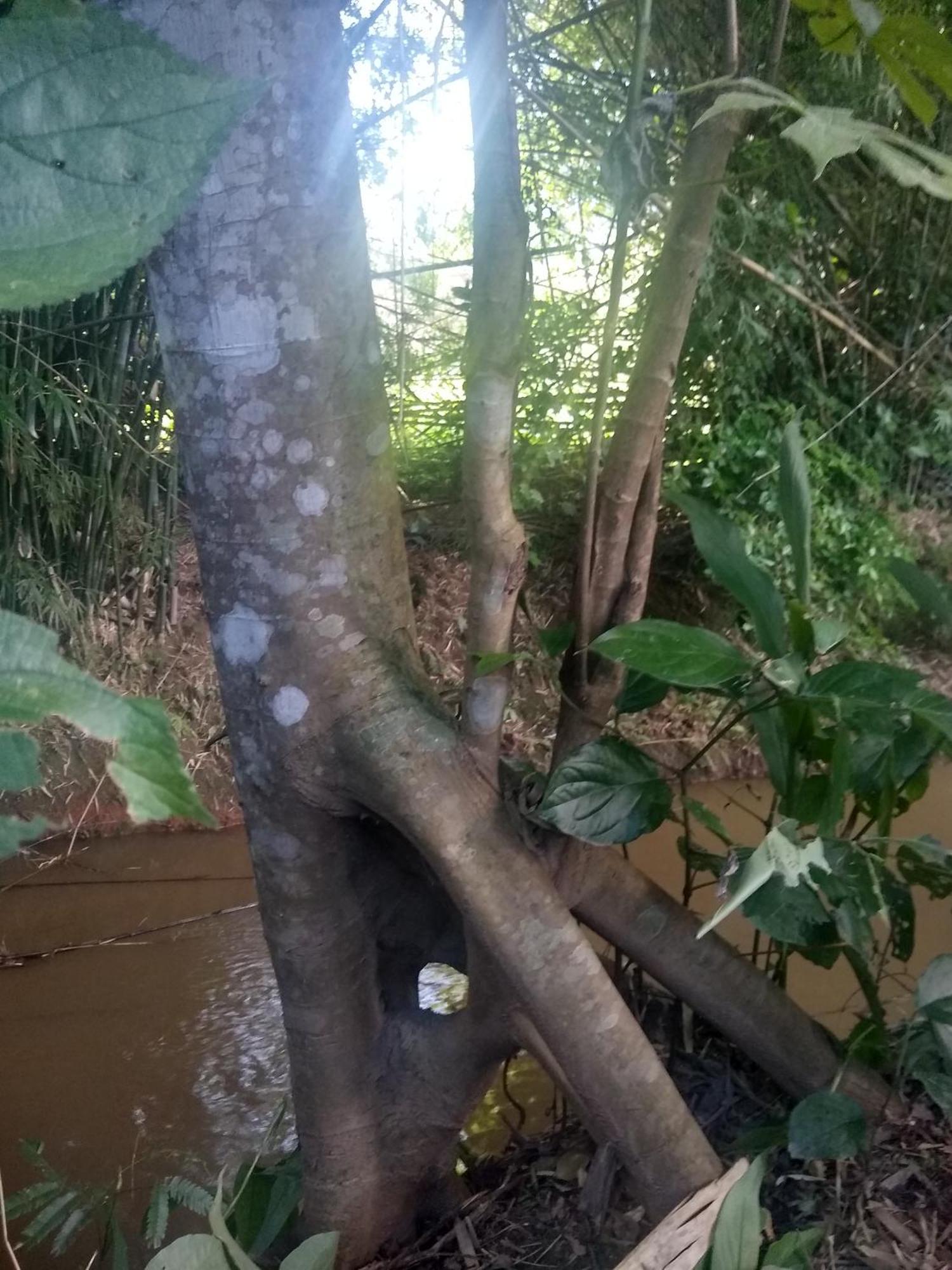 Appartamento Chacara Perola Mantiqueira Gonçalves Esterno foto